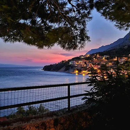 2972a * Мимице