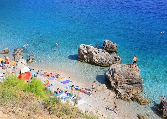 2972a * Мимице