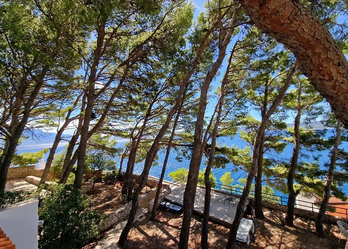 2972a * Мимице